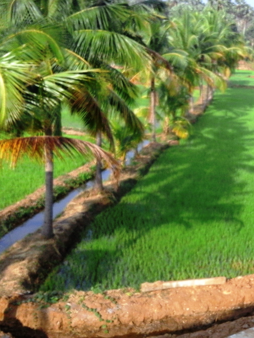 Chittūr, India