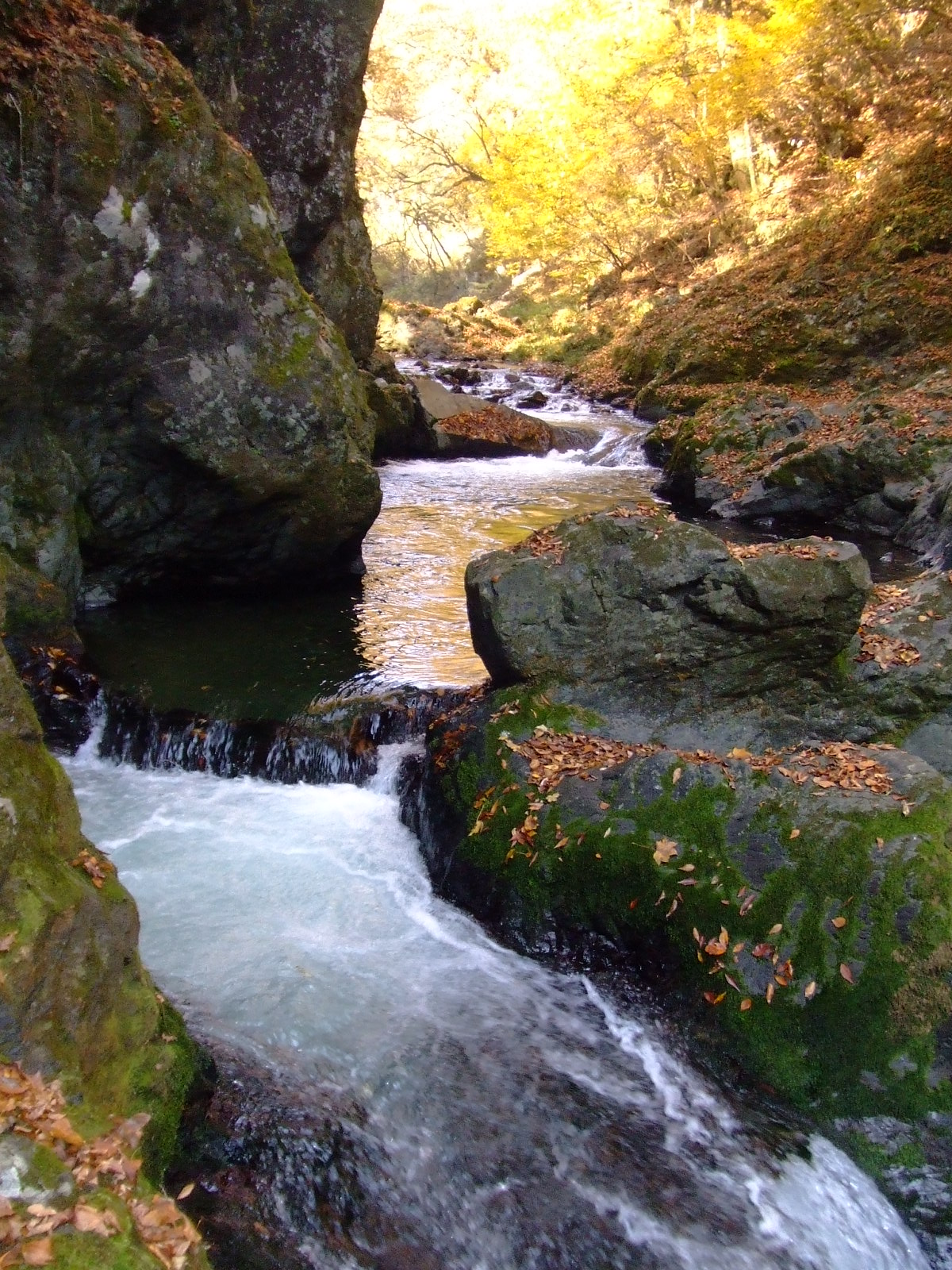Shōbara, Japan
