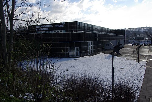 Musée d'art moderne (Saint-Étienne), Saint-Étienne