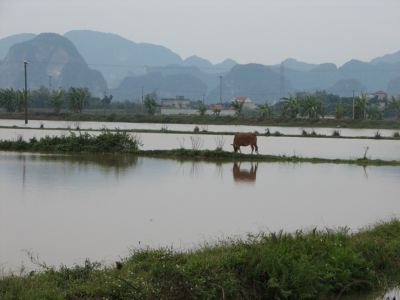 Ninh Bình, Viet Nam