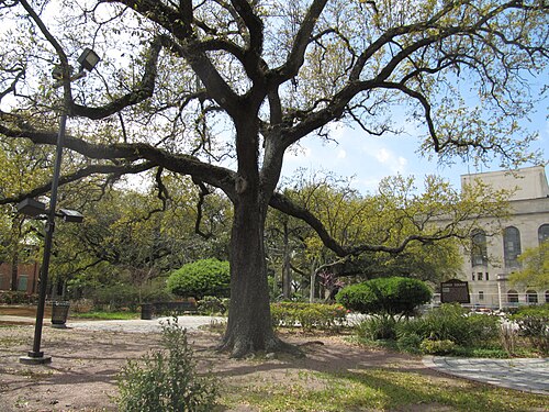 Congo Square, New Orleans