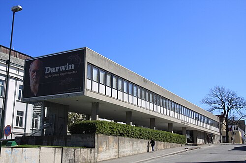 Museum Stavanger, Stavanger