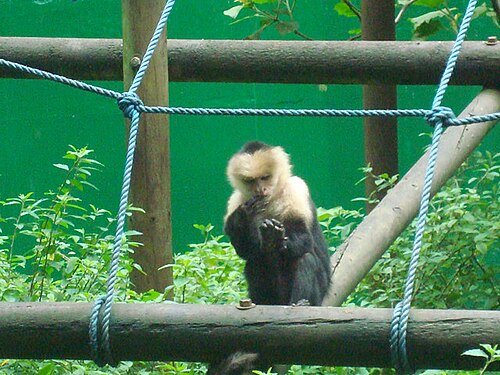 Parque Zoológico Nacional Simón Bolívar, San José