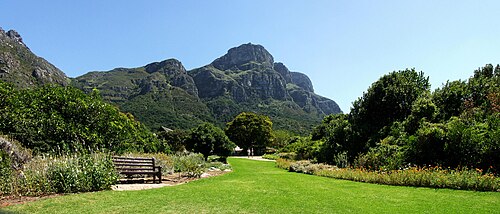 Kirstenbosch National Botanical Garden, Cape Town