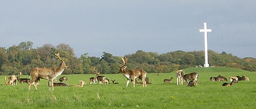 Phoenix Park, Dublin