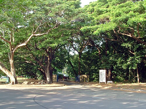 George Brown Darwin Botanic Gardens, Darwin