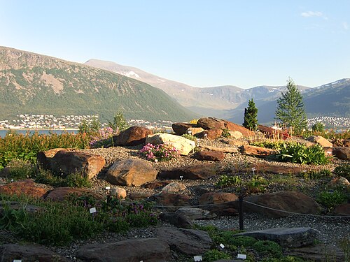 Arctic-alpine Botanic Garden, Tromsø