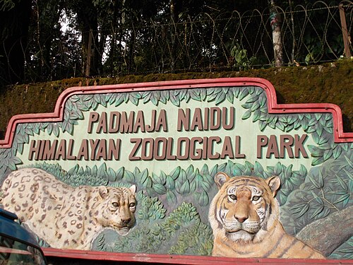 Padmaja Naidu Himalayan Zoological Park, Dārjiling