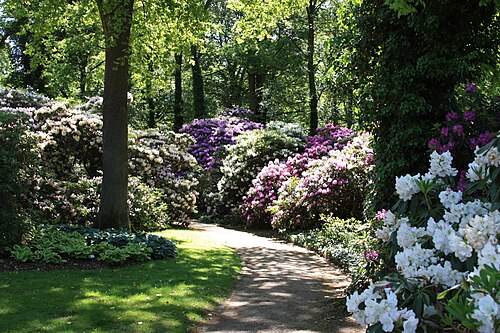 Rhododendron-Park Bremen, Bremen