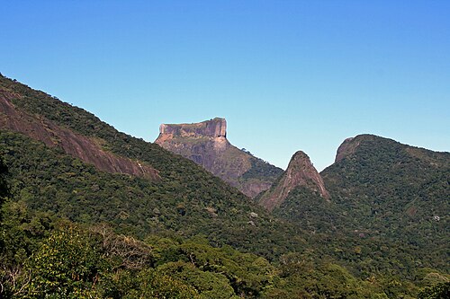 Tijuca National Park, Rio de Janeiro