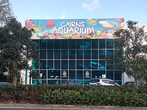 Cairns Aquarium, Cairns