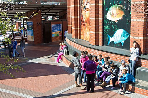Two Oceans Aquarium, Cape Town