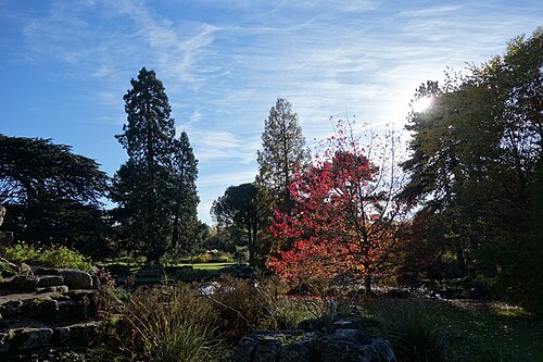Cambridge University Botanic Garden, Cambridge