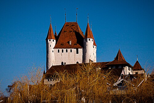 Thun Castle, Thun