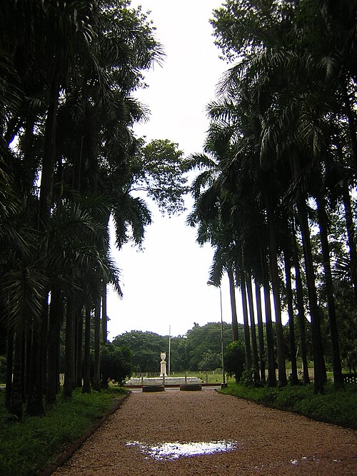 Acharya Jagadish Chandra Bose Indian Botanic Garden, Kolkata