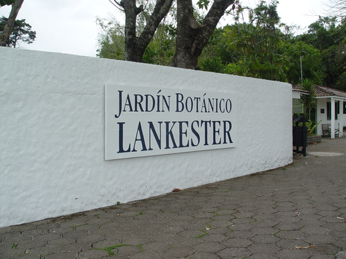 Lankester Botanical Garden, Paraíso