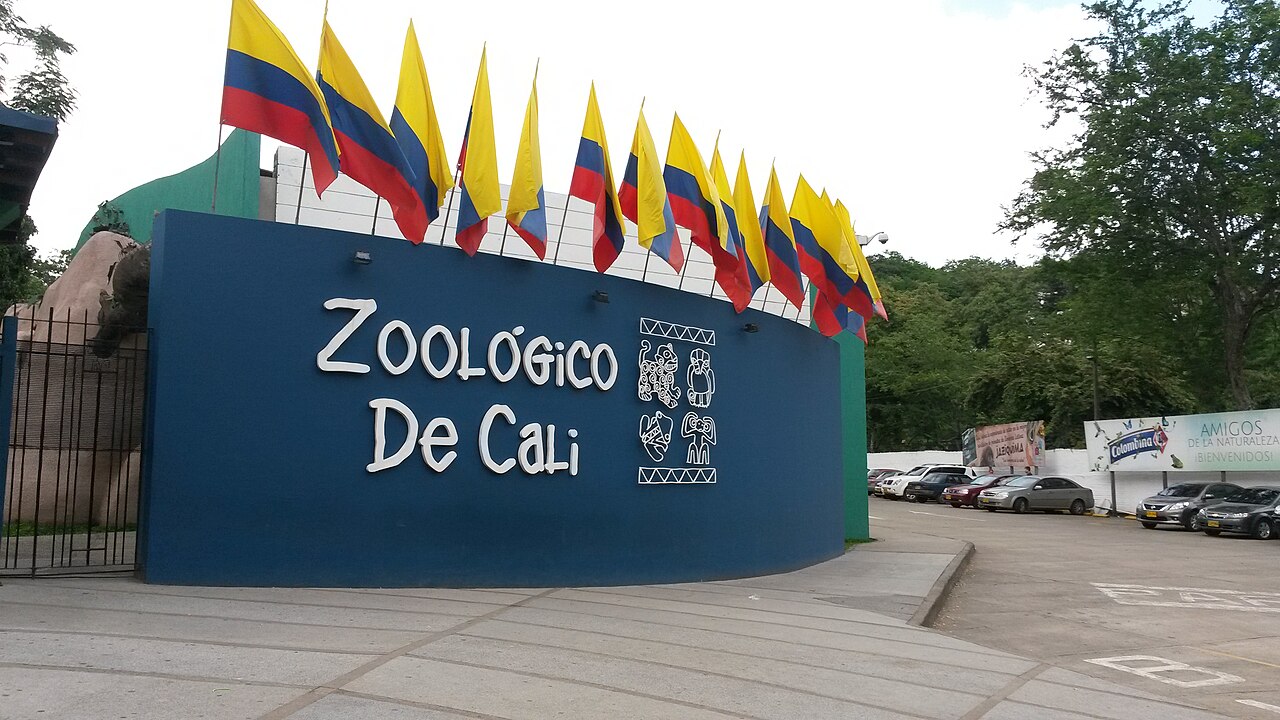 Cali Zoo, Cali
