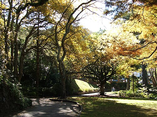 Wellington Botanic Garden, Wellington
