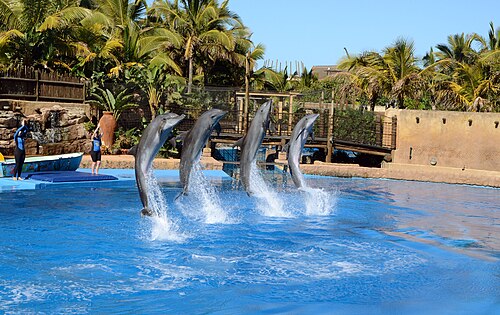 uShaka Marine World, Durban
