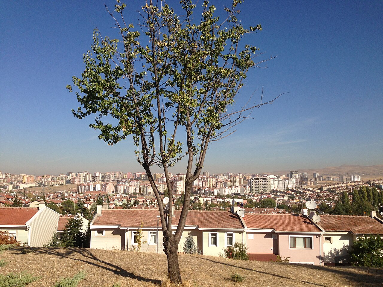 Batikent, Türkiye