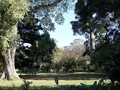 Durban Botanic Gardens, Durban