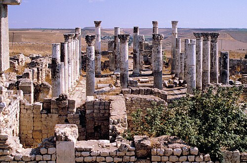 Apamea, Dinar