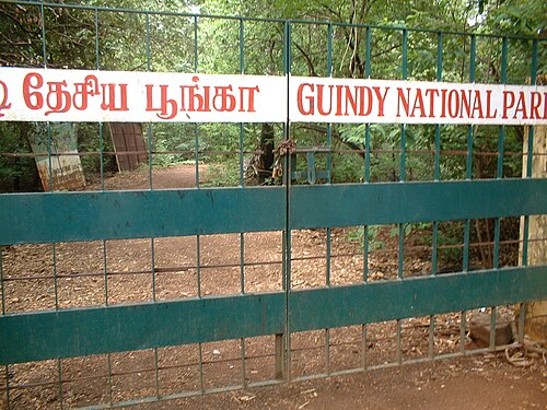 Guindy National Park, Chennai