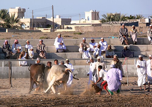 Barkā’, Oman