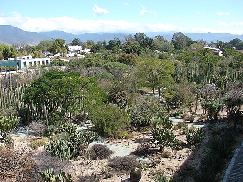 Jardín Etnobotánico de Oaxaca, Oaxaca