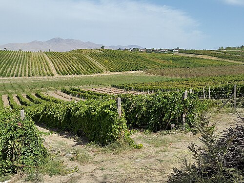 Parkent, Uzbekistan